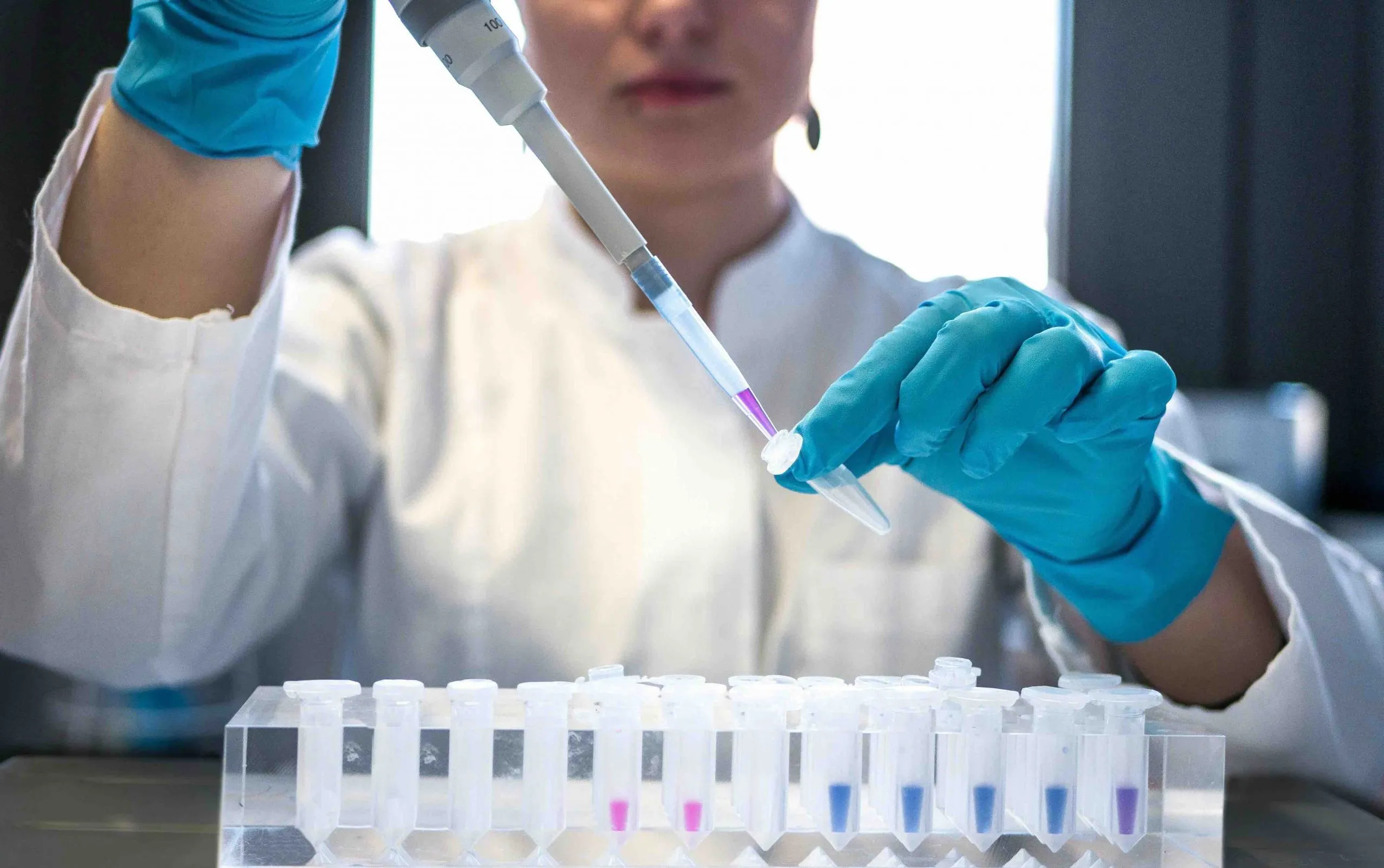 Lab technician in white coat and blue gloves using a pipette to fill a row of sample tubes with colored liquid