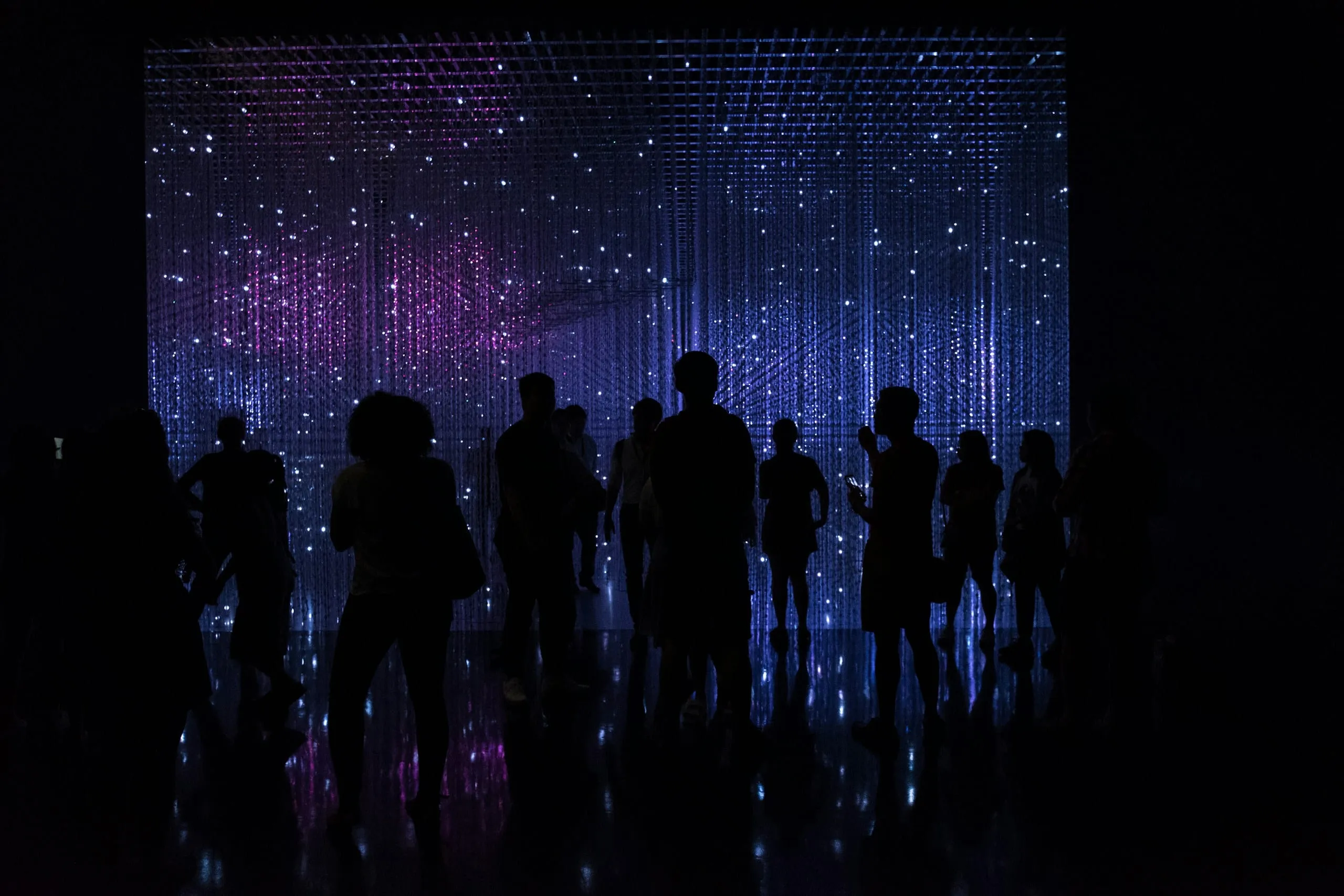 Silhouetted visitors standing before a wall of suspended LED strands glowing blue and violet in a dark gallery